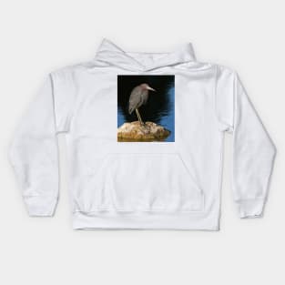 Little Blue Heron on the rocks Kids Hoodie